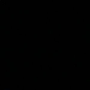 Meet your Posher, Theodore